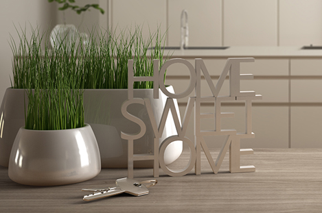 Για τον αγοραστή