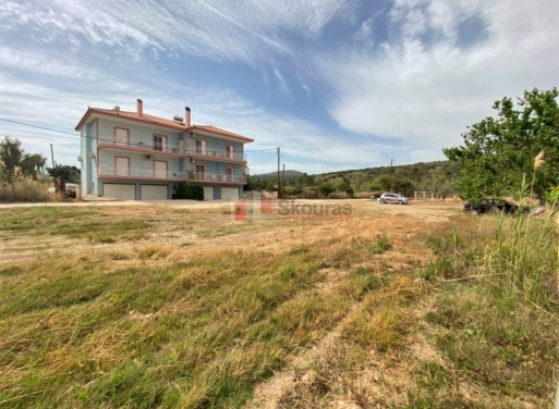 Plot Kantia, Asini 556 m2 - 11