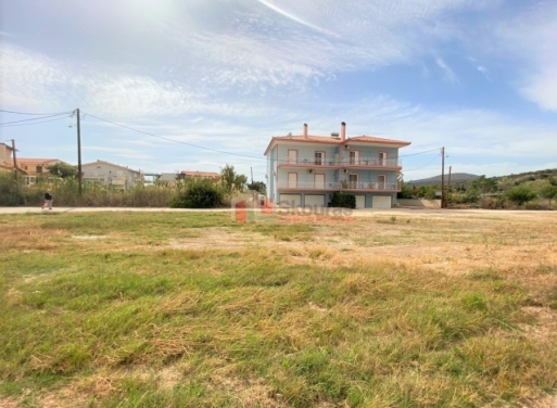 Plot Kantia, Asini 556 m2 - 12