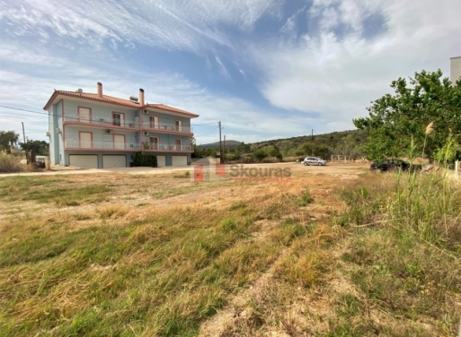 Plot Kantia, Asini 556 m2 - 13