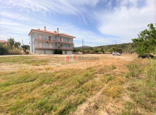 Plot Kantia, Asini 556 m2 - 14