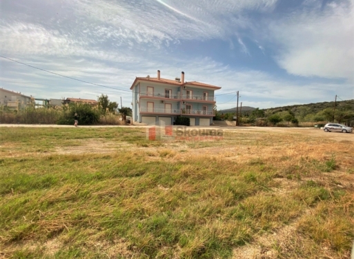 Plot Kantia, Asini 556 m2 - 15