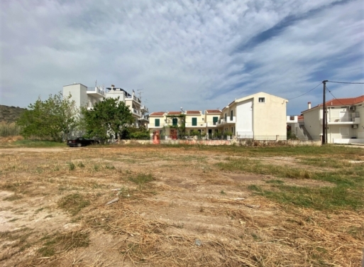 Plot Kantia, Asini 556 m2 - 16