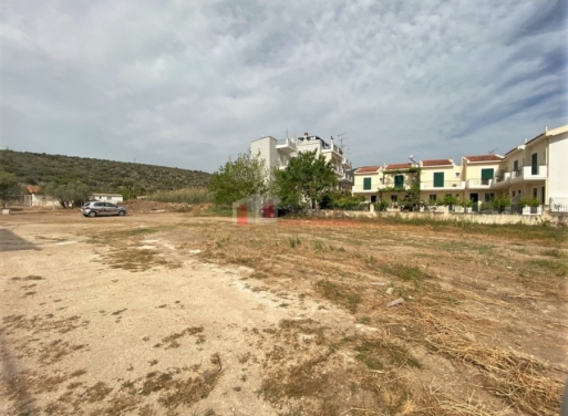 Plot Kantia, Asini 556 m2 - 17