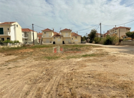 Plot Kantia, Asini 556 m2 - 19