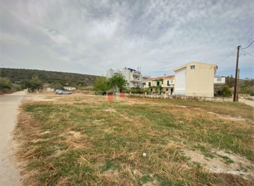Plot Kantia, Asini 556 m2 - 21