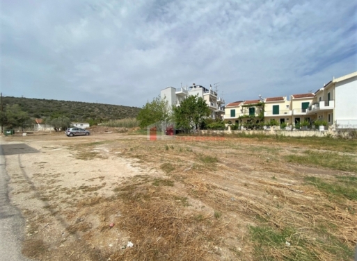 Plot Kantia, Asini 556 m2 - 23