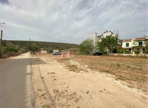 Plot Kantia, Asini 556 m2 - 24