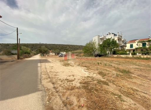 Plot Kantia, Asini 556 m2 - 25