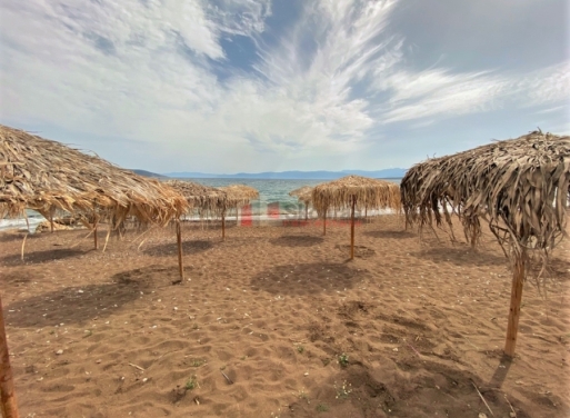 Plot Kantia, Asini 556 m2 - 6