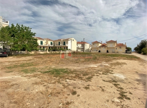 Plot Kantia, Asini 556 m2 - 8