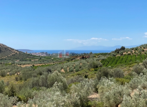 Дом Lefkakia, Нафплио 215 кв.м - 20