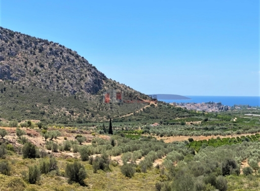 Дом Lefkakia, Нафплио 215 кв.м - 6