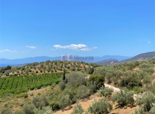 Дом Lefkakia, Нафплио 215 кв.м - 7