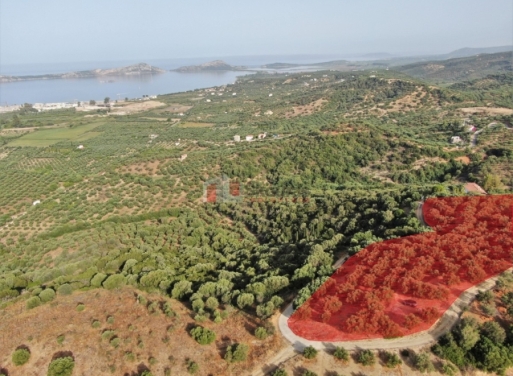 Pylos Agricultural Land  8000 m2