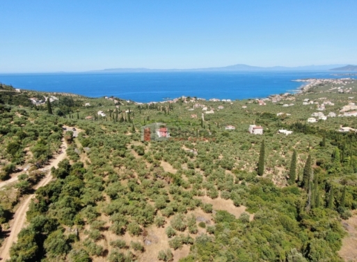 Agios Dimitrios Grundstück 4.500 qm