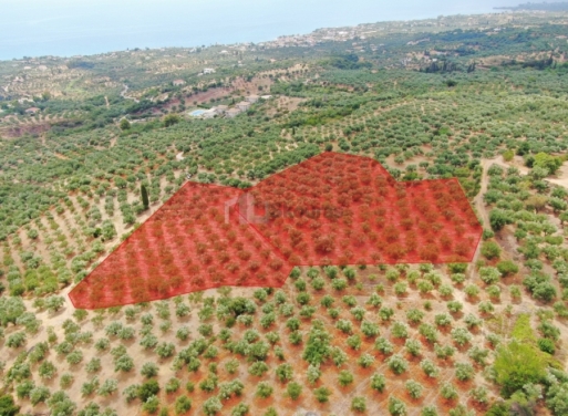  Aipeia Terrain Agricole 13.898 m2