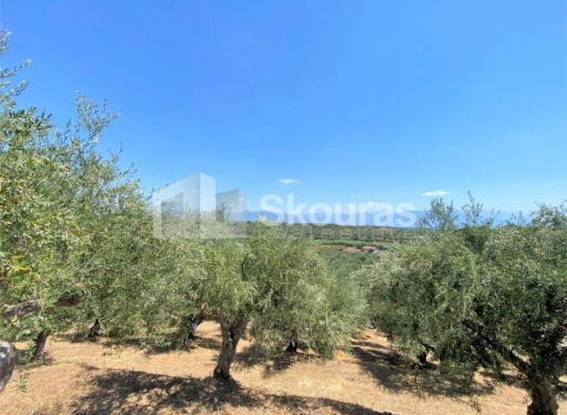 Plot Velika, Messini 7.020 m2 - 11