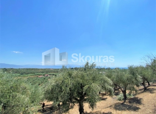 Plot Velika, Messini 7.020 m2 - 12