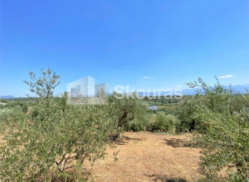 Plot Velika, Messini 7.020 m2 - 13