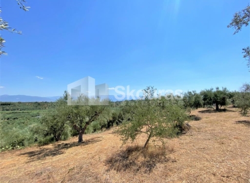 Plot Velika, Messini 7.020 m2 - 14