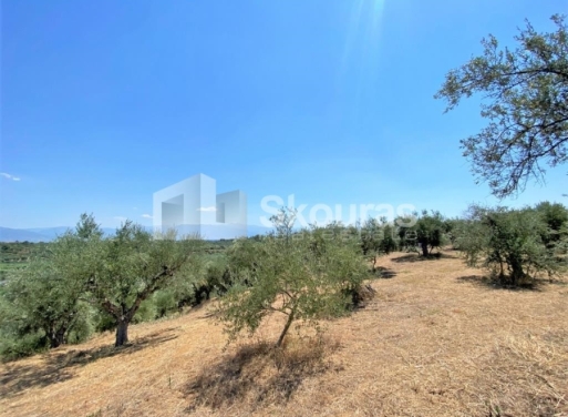 Plot Velika, Messini 7.020 m2 - 15