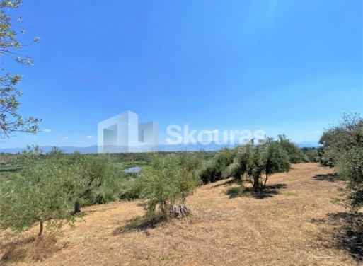 Plot Velika, Messini 7.020 m2 - 16