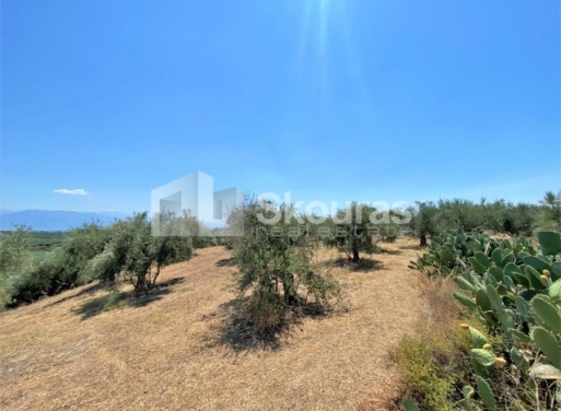 Plot Velika, Messini 7.020 m2 - 17