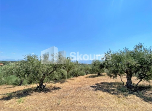 Plot Velika, Messini 7.020 m2 - 18
