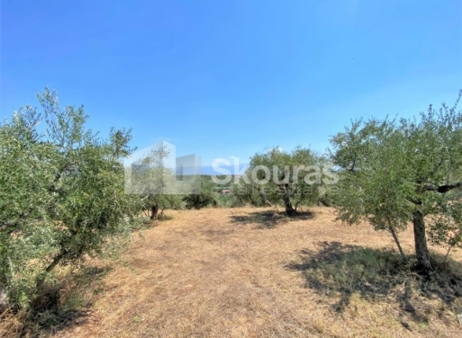Plot Velika, Messini 7.020 m2 - 19