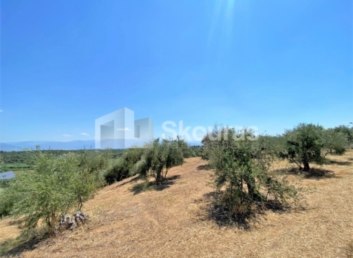 Plot Velika, Messini 7.020 m2 - 2