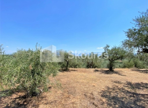 Plot Velika, Messini 7.020 m2 - 20