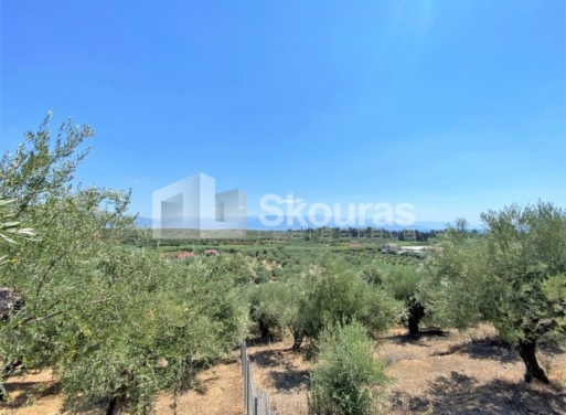 Plot Velika, Messini 7.020 m2 - 23