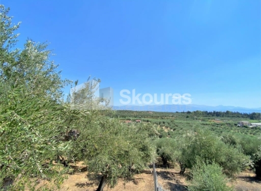 Plot Velika, Messini 7.020 m2 - 24