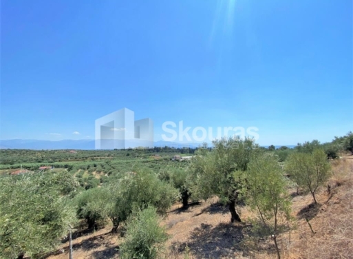 Plot Velika, Messini 7.020 m2 - 3