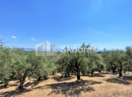Plot Velika, Messini 7.020 m2 - 5