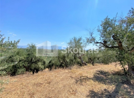 Plot Velika, Messini 7.020 m2 - 8