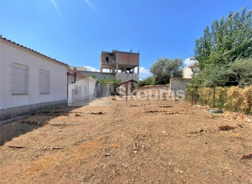 Οικόπεδο Μεσσήνη 200 τ.μ. - 9