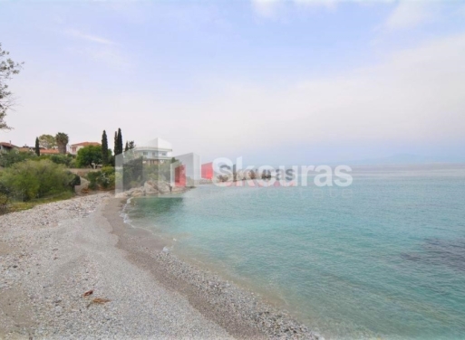 Detached house Avia 260 m2 - 12
