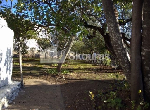 Detached house Avia 260 m2 - 19