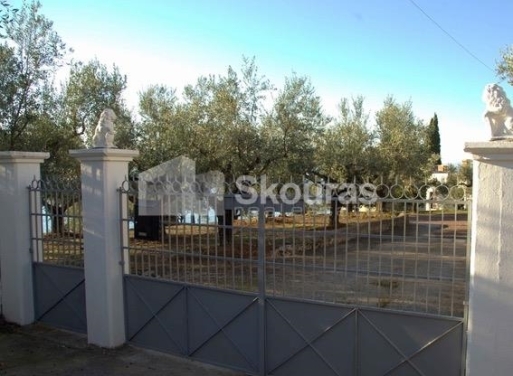 Detached house Avia 260 m2 - 21