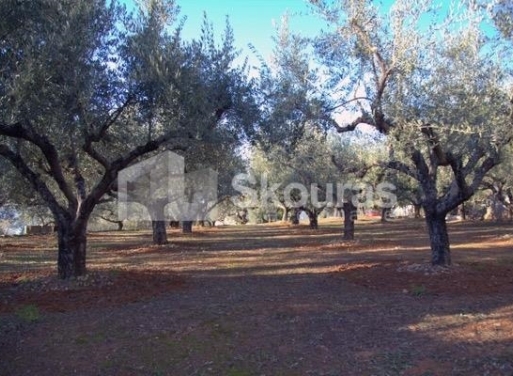 Detached house Avia 260 m2 - 4