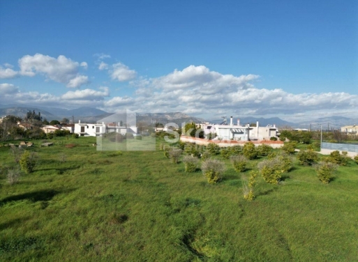 Plot Dalamanara, Argos 600 m2 - 7