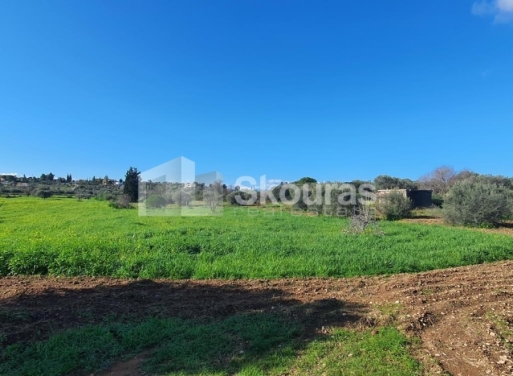 Landparzelle Petrothalassa, Kranidi 5.600 qm - 10