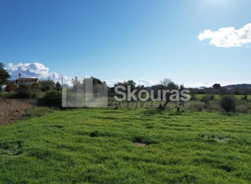 Landparzelle Petrothalassa, Kranidi 5.600 qm - 11