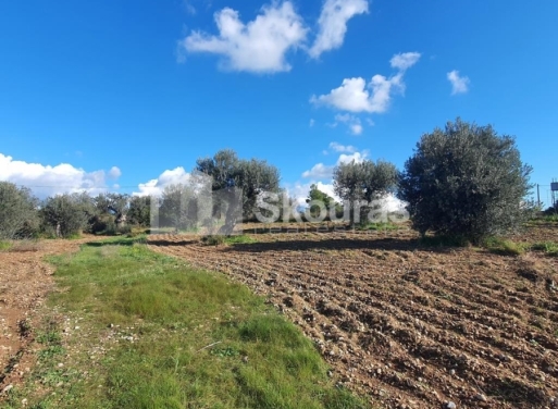 Landparzelle Petrothalassa, Kranidi 5.600 qm - 13