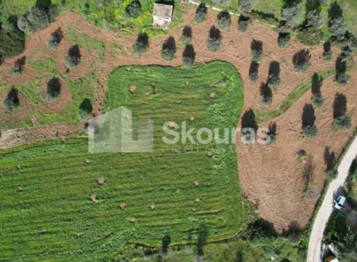 Landparzelle Petrothalassa, Kranidi 5.600 qm - 14