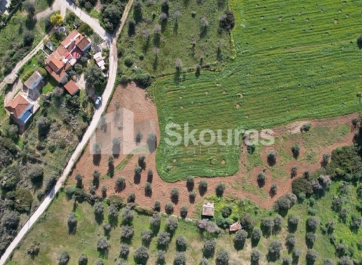 Landparzelle Petrothalassa, Kranidi 5.600 qm - 15