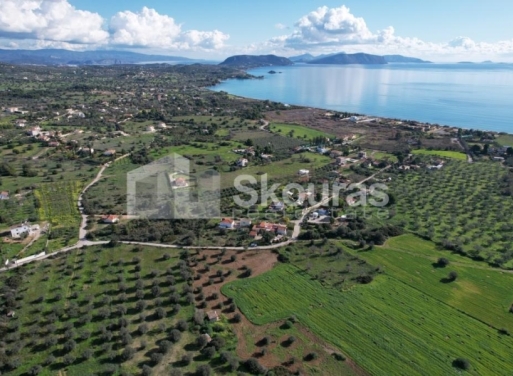 Landparzelle Petrothalassa, Kranidi 5.600 qm - 16