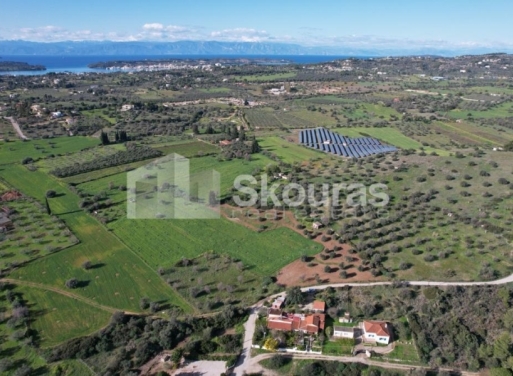 Landparzelle Petrothalassa, Kranidi 5.600 qm - 17